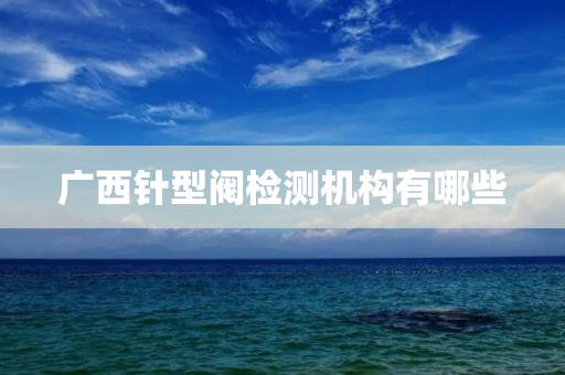 广西针型阀检测机构有哪些